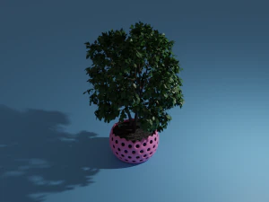 tree in pot 3D Model