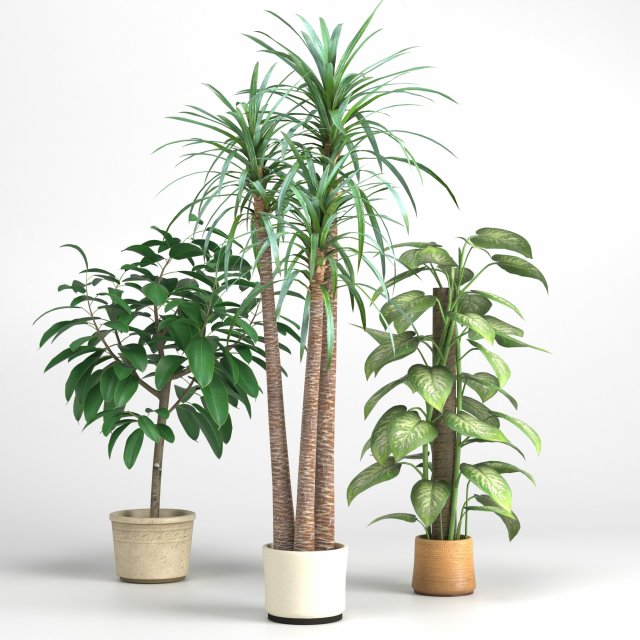 plants set 3Dモデル .c4d .max .obj .3ds .fbx .stl .blend 