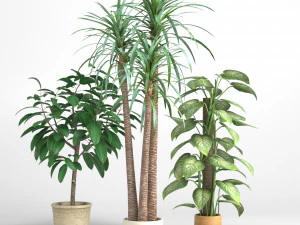 conjunto de plantas Modelo 3D