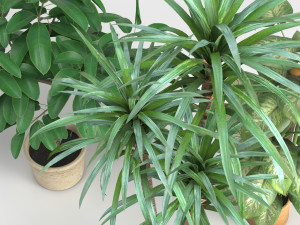 plants set 3Dモデル