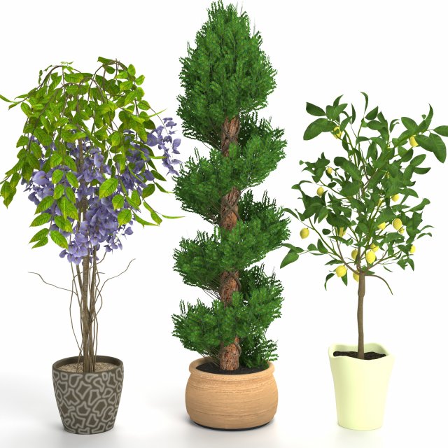 plants set 2 Modèle 3D .c4d .max .obj .3ds .fbx .stl .blend 