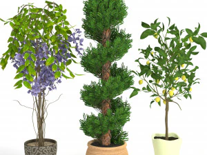 conjunto de plantas 2 Modelo 3D