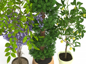 plants set 2 Modèle 3D