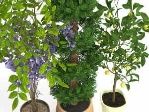 plants set 2 3D Model
