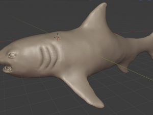 acula 3D Model