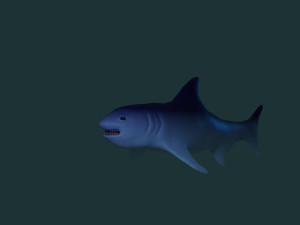 acula 3D Model