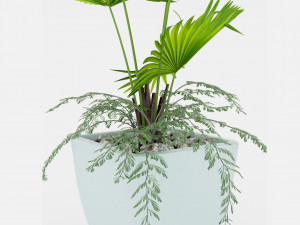 Indoor palm plant 3Dモデル