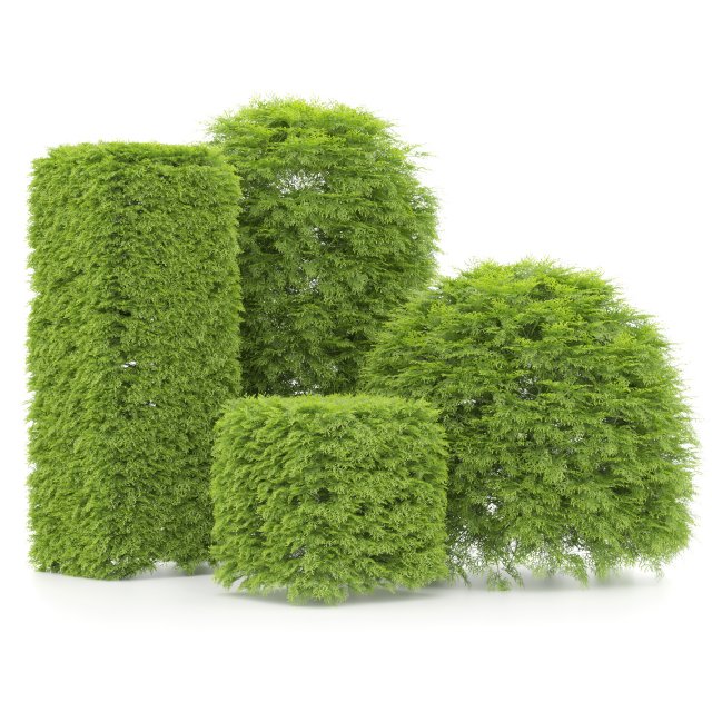 Shaped bush plants v01 Model 3D .c4d .max .obj .3ds .fbx .stl .blend 