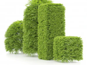 Shaped bush plants v01 3D Model