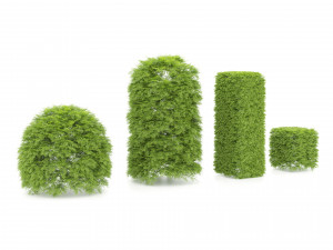 Shaped bush plants v01 Model 3D