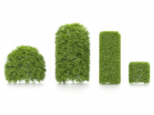 Shaped bush plants v01 Model 3D