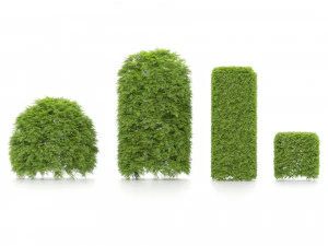 Shaped bush plants v01 3D Model
