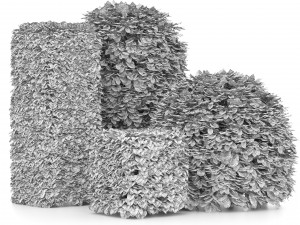 Shaped bush plants v01 Model 3D