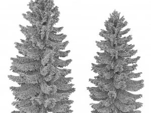 2 pine tree high and medium height 3D Model