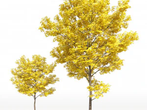 Yellow leaf autumn tree plant v06 3D Model