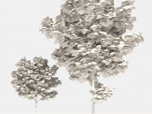 Yellow leaf autumn tree plant v06 3D Model