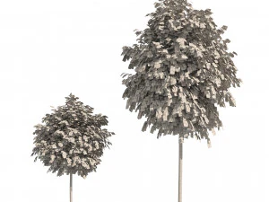 Street Landscape Trees 3D Model