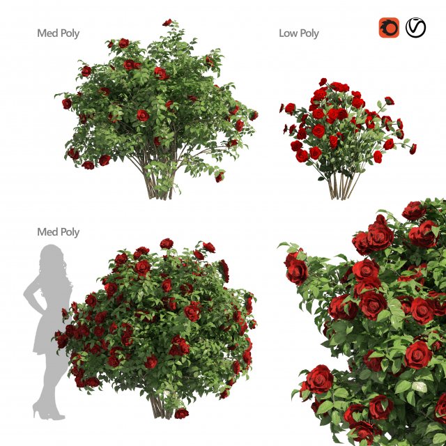 3 Red Rose Flower Bush Low Poly Modèle 3D .c4d .max .obj .3ds .fbx .stl .blend