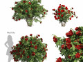 3 Red Rose Flower Bush Low Poly Model 3D
