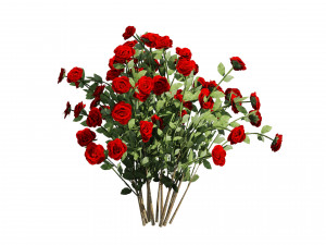 3 Red Rose Flower Bush Low Poly Modèle 3D
