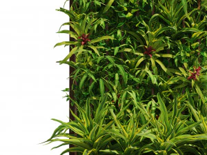 Greenwall Fitowall with plant box 3D Model