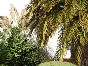 Outdoor Garden Set Palm Tree Bush flowers Modelo 3D