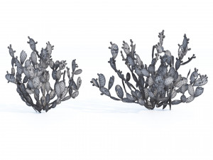 Cactus Opuntia ficus-indica tree Modelo 3D