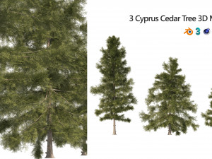 3 Cyprus Cedar Trees Modelo 3D