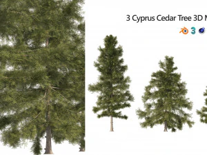 3 Cyprus Cedar Trees 3D Model