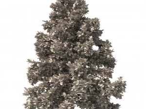 3 Cyprus Cedar Trees 3D Model