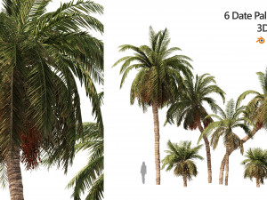 6 Date palm Trees 3D Models