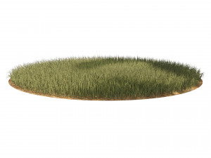 High Rye grass 3D Model