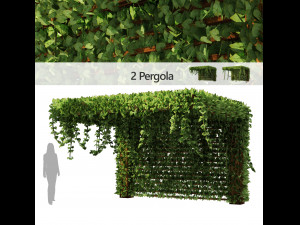 Pergola Vine Bower climbing plant Model 3D