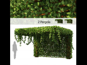 Pergola Vine Bower plante grimpante Modèle 3D