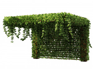 Pergola Vine Bower climbing plant Model 3D
