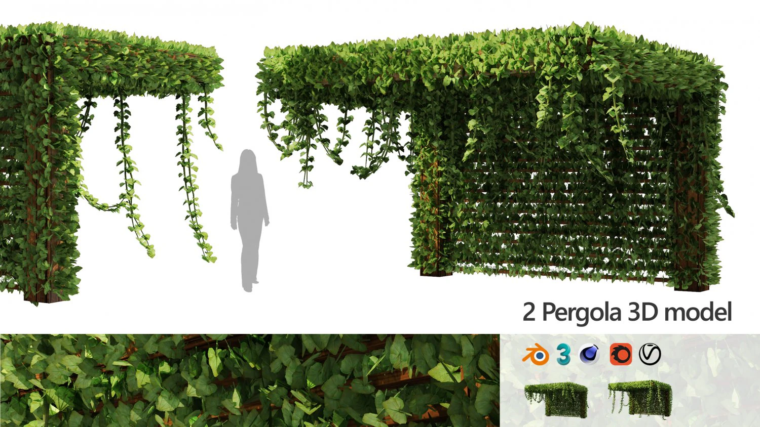 Pergola Vine Bower plante grimpante Modèle 3D .c4d .max .obj .3ds .fbx .stl .blend