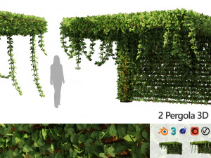 Pergola Vine Bower tırmanma tesisi 3D Model