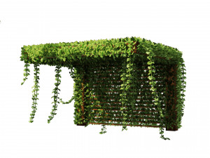 Pergola Vine Bower climbing plant Model 3D