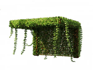 Pergola Vine Bower plante grimpante Modèle 3D