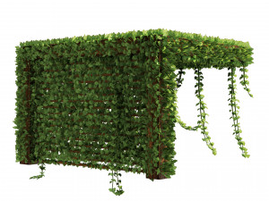 Pergola Vine Bower climbing plant Model 3D