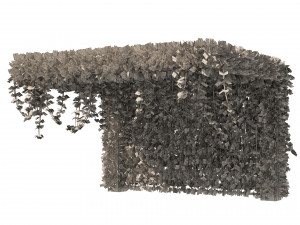 Pergola Vine Bower climbing plant Model 3D