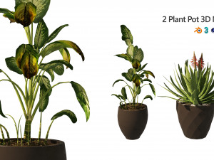 Topical Snow and Aloe vera plant pot 3D Models