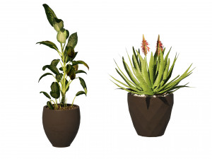 Topical Snow and Aloe vera plant pot 3D 模型