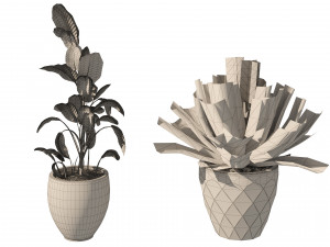 Topical Snow and Aloe vera plant pot 3D 模型