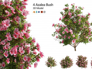 4 spring Azalea Flower Bush 3D Models