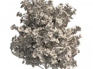 4 spring Azalea Flower Bush 3D Model