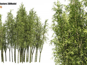 2 Bambu Salkımı 3D Model
