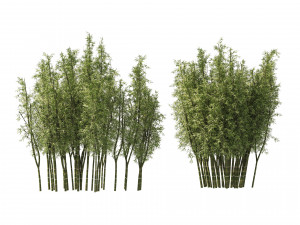 2 Bamboo Clusters 3D मॉडल