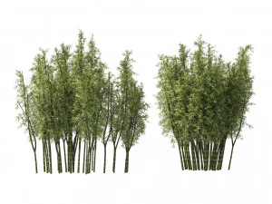 2 Bamboo Clusters 3D Model