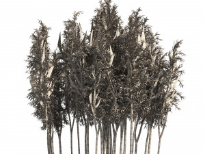 2 Bamboo Clusters 3D मॉडल